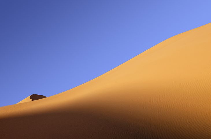gallery6.jpg